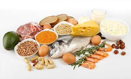 proteinsources-450x271