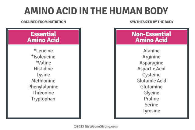 Protein-AminoAcids-Human-Body-Essential-Nonessential-640x427