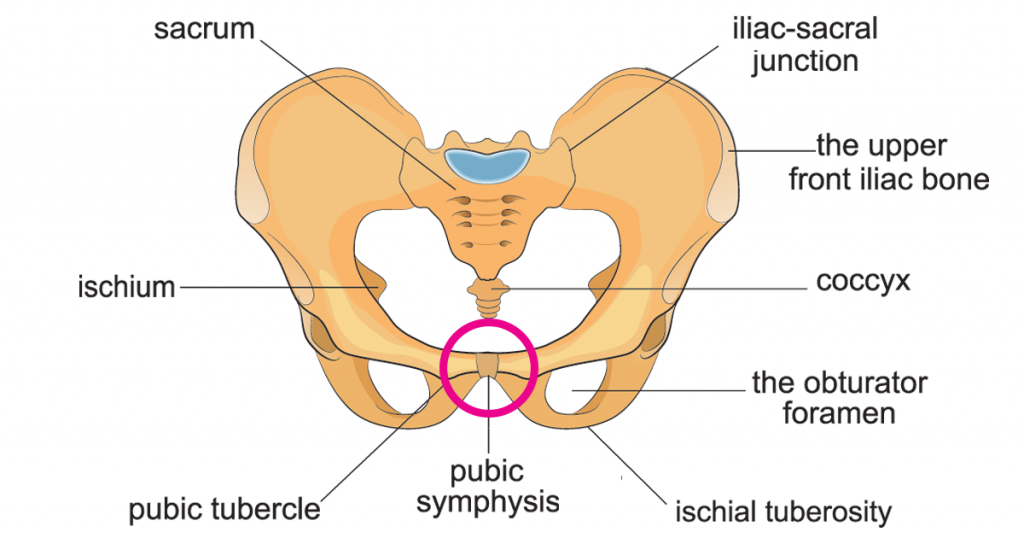 Symphysis Pubis Dysfunction (SPD) - Symptoms, Causes & Training Tips