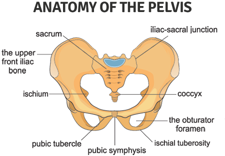 Symphysis pubis dysfunction: Treatment and symptoms